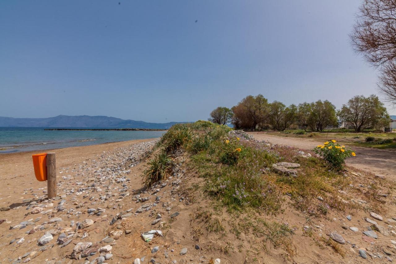Kissamos Sea View Beach Apartments المظهر الخارجي الصورة